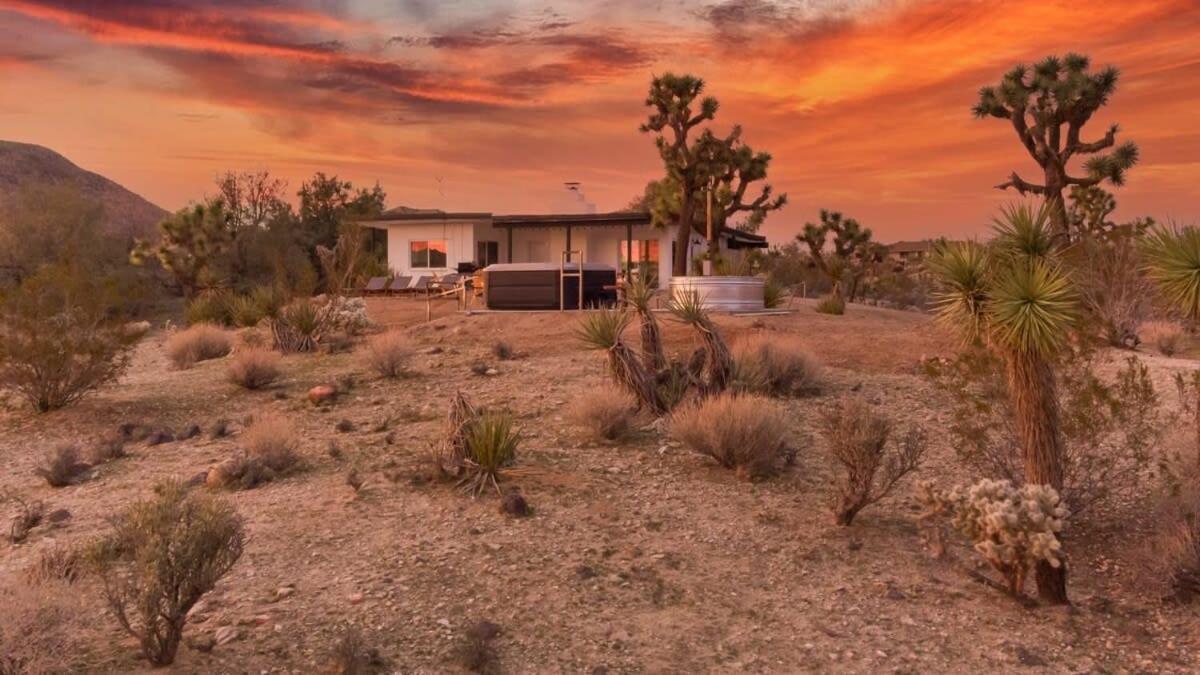 Kinetic House-Joshua Trees Sculptures Cowboy Pool Βίλα Yucca Valley Εξωτερικό φωτογραφία